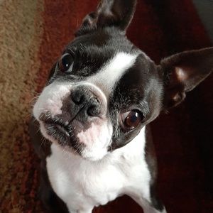 Meet your Posher, Carletta